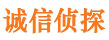 康乐市私家侦探